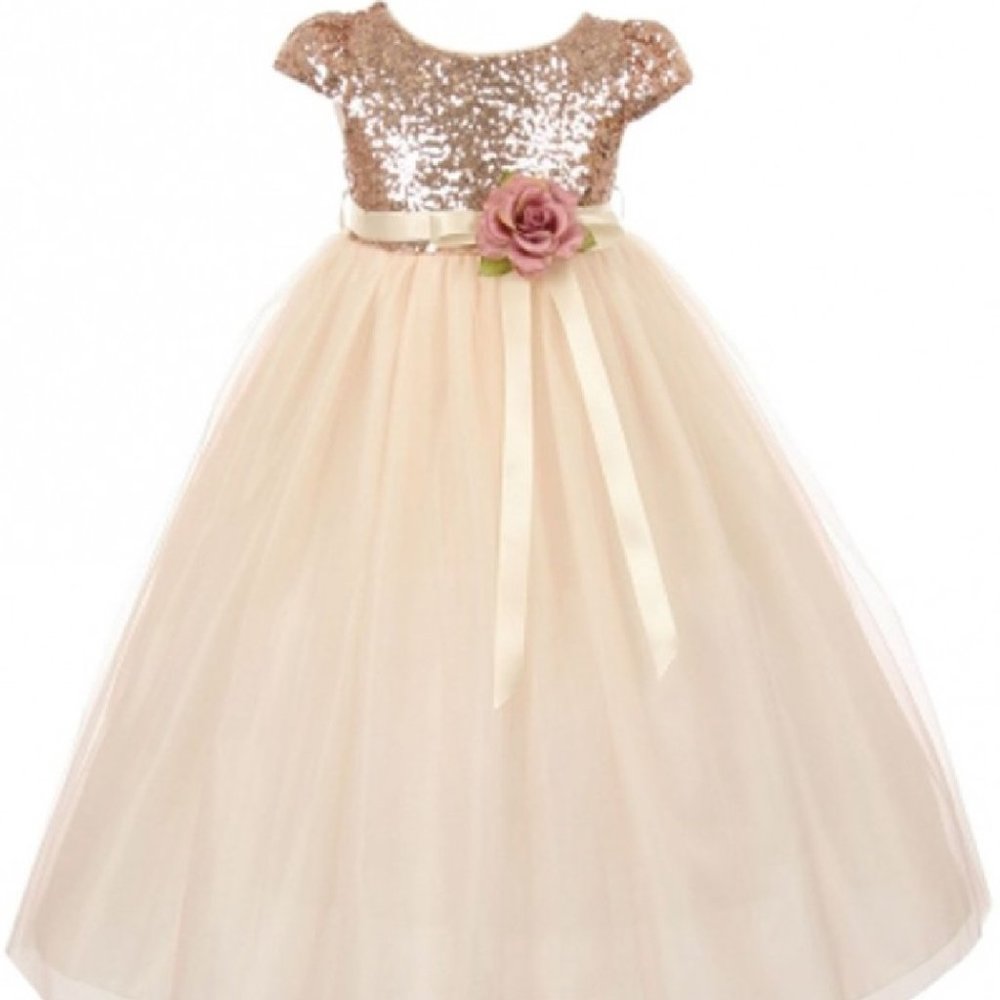 2 pcs Girls Sleeveless Shiny Tulle Bridesmaid Party Birthday Flower Girl Dress…
